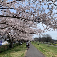 多摩川中央公園 Park In 福生市 多摩川中央公園 Park In 福生市