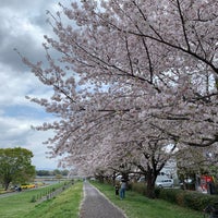 多摩川中央公園 福生市 Da Park 多摩川中央公園 福生市 Da Park