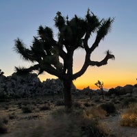 Photo taken at Joshua Tree National Park by Julie J. on 5/29/2023