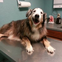 Photo prise au Brazos Woods Veterinary Clinic par Geralyn K. le4/17/2013