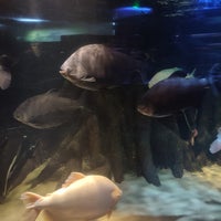Photo taken at Emaar Aquarium &amp;amp; Underwater Zoo by Merve P. on 2/7/2024