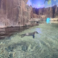 Photo taken at Emaar Aquarium &amp;amp; Underwater Zoo by Merve P. on 2/7/2024