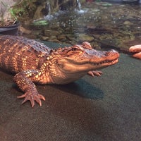 Foto scattata a Cajun Gator da Matt G. il 1/12/2014