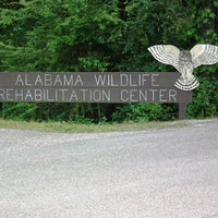 9/26/2013 tarihinde Alabama Wildlife Centerziyaretçi tarafından Alabama Wildlife Center'de çekilen fotoğraf