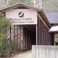 9/26/2013 tarihinde Alabama Wildlife Centerziyaretçi tarafından Alabama Wildlife Center'de çekilen fotoğraf