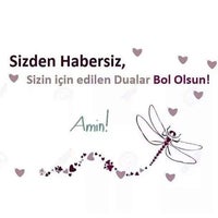 Tas Hali Yikama Fabrikasi Her Isin Ustasi Sahibinden Com Hizmetler De