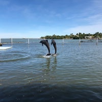 Photo taken at Dolphin Research Center by Angie O. on 11/28/2018