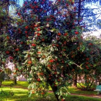 Photo taken at АО «Светлана-Электронприбор» by Andrei F. on 8/4/2016