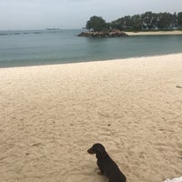 Photo taken at Singapore Paddle Club by Dutchy on 4/6/2018