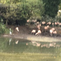 Photo taken at De Flamingo Serre by Winfred P. on 10/7/2021