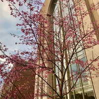 Photo taken at 京都大学 学術情報メディアセンター南館 by Tatsuya T. on 3/19/2019