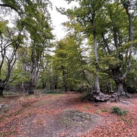 Photo taken at Epping Forest by Yu K. on 10/18/2022