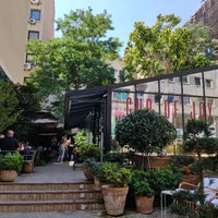 Cup Of Joy Mesrutiyet 15 Tavsiye