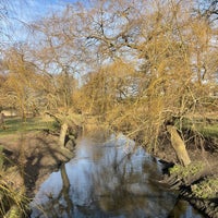 Photo taken at Richmond Park by Mara M. on 1/28/2024