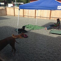 Photo taken at Play Doggie Daycare by Jenn H. on 6/13/2013