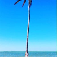 10/27/2017にКатрин Ш.がPaddle the Florida Keysで撮った写真