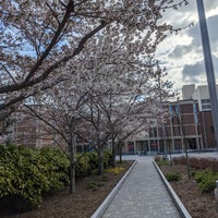 Photo taken at Temple University by Kim B. on 3/18/2024