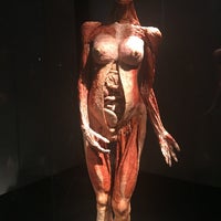 Photo taken at Body Worlds: The Original Exhibition by Heather R. on 5/30/2016