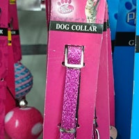 reject shop dog collar
