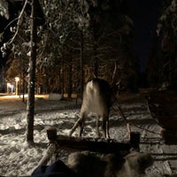12/13/2018 tarihinde Tammy C.ziyaretçi tarafından Lapland Safaris'de çekilen fotoğraf