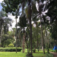 Photo taken at Parque Jardim da Luz by Jairo S. on 1/27/2024