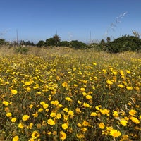 Photo taken at Ballona Wetlands by Matthew L. on 5/15/2020