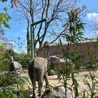 Photo taken at Zoo Duisburg by Simon D. on 5/13/2021