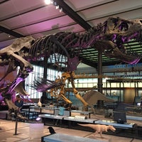 Photo taken at Museum of Natural Sciences by Simon D. on 7/19/2015