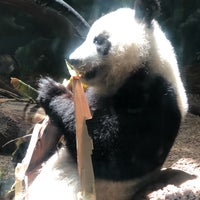 Photo taken at Panda Exhibit by Wendy K. on 5/10/2019