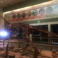 12/29/2017에 Xxxxx C.님이 Jurassic Land에서 찍은 사진