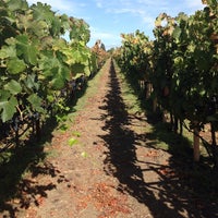 Photo taken at Fortunati Vineyards by Courtney B. on 9/26/2014