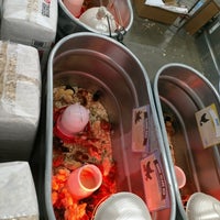 tractor supply bunnies