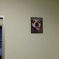 mill plain animal hospital