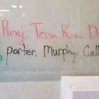 mill plain animal hospital