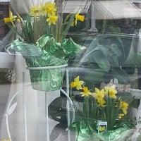 Photo taken at The Modest Florist by Libby Francis Baxter T. on 3/20/2016
