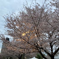 Photo taken at Sunpu Castle Park by ゆみち on 4/10/2024