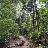 Photo taken at MacRitchie Nature Trails by Tang C. on 3/29/2024