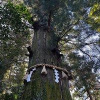 Photo taken at Mt. Takao by Shelah Anne &amp;quot;Marina&amp;quot; W. on 3/28/2024