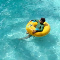 Splash Island 44 Tips