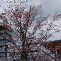 Photo taken at NHK Spring Mitsuzawa Football Stadium by 寿夫 横. on 4/1/2024