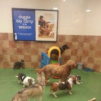 frontpet suv cargo cover