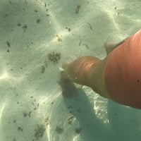 Spiaggia Libera Di Torre Lapillo Spiaggia