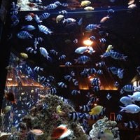 Lime 麻布十番ライム Artik Kapali 麻布 354 Ziyaretcidan 2 Tavsiye