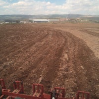 ekol lojistik lavanta tesisi