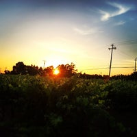 Foto tirada no(a) Abundance Vineyards por Dana D. em 5/25/2014