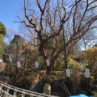 Photo taken at 万葉植物園 by Hiroyasu M. on 12/27/2017