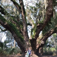 state park griffin lake things find great