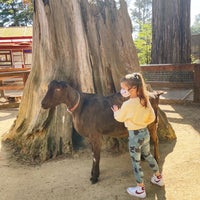 Photo taken at Sequoia Park Zoo by Renata R. on 10/18/2021