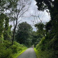 Photo taken at Harlem Valley Rail Trail Taconic State Park by Sage on 8/29/2021