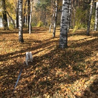 Photo taken at Первомайский парк by Костя К. on 9/27/2018
